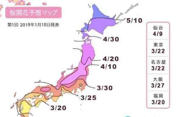 九州櫻花 2019九州櫻花什么時候開 九州賞櫻地推薦