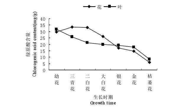 金銀花什么時(shí)候開(kāi)花 金銀花的7個(gè)花期您知道嗎，如何確定最佳的采摘時(shí)期？