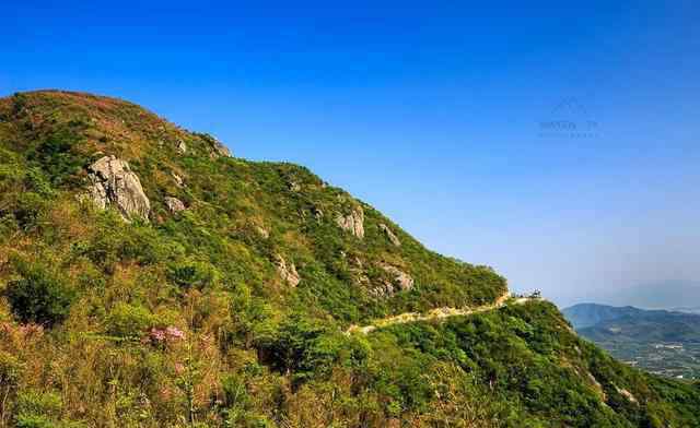 驛站的風(fēng)景畫 驚艷朋友圈！這座山上竟藏了漫山遍野的杜鵑花，美爆了