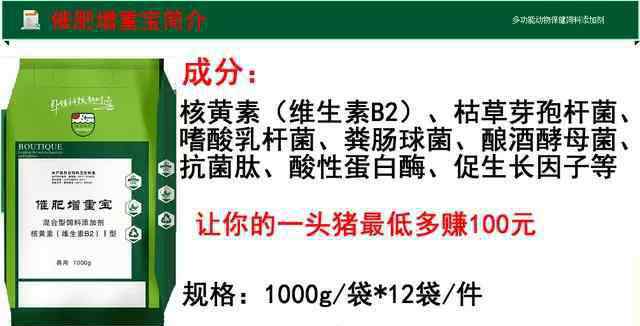 今天大豬的價格 今日豬價多少？12.15日今日最新豬價是多少？今日大豬價格跌