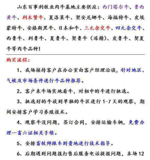 肉牛繁育 開封肉牛繁育基地聯(lián)系人