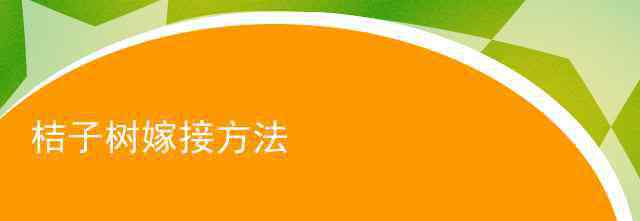 嫁接桔子樹最佳時間 桔子樹嫁接方法