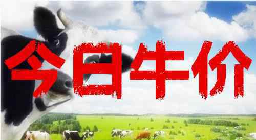 2013最新肉牛價(jià)格 今日最新牛價(jià)：12.25今日全國(guó)最新肉牛、育肥牛價(jià)格行情一覽表