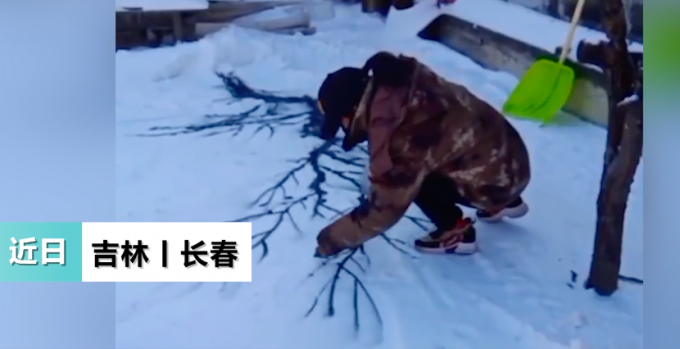 長春女子把雪地當(dāng)宣紙作畫 “紅梅傲雪、猛虎下山” 網(wǎng)友：高手在民間