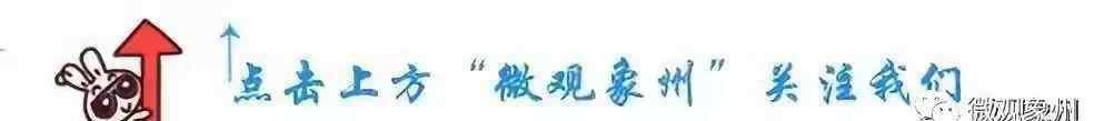 沙糖桔多少錢一斤 幾多錢一斤？象州沙糖桔上市，暢銷全國各地！