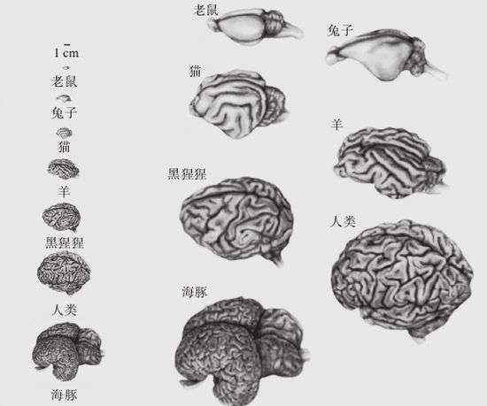 智能計(jì)算機(jī) 當(dāng)計(jì)算機(jī)智能超越人類 人工智能奇點(diǎn)會(huì)到來嗎？