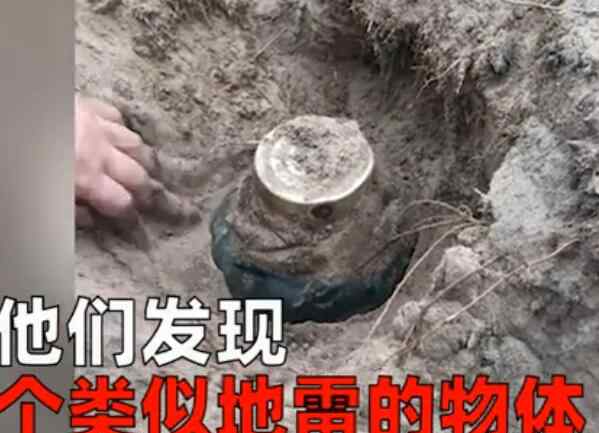 一家人種樹沒想到挖出大地雷 繼續(xù)深挖驚喜不已