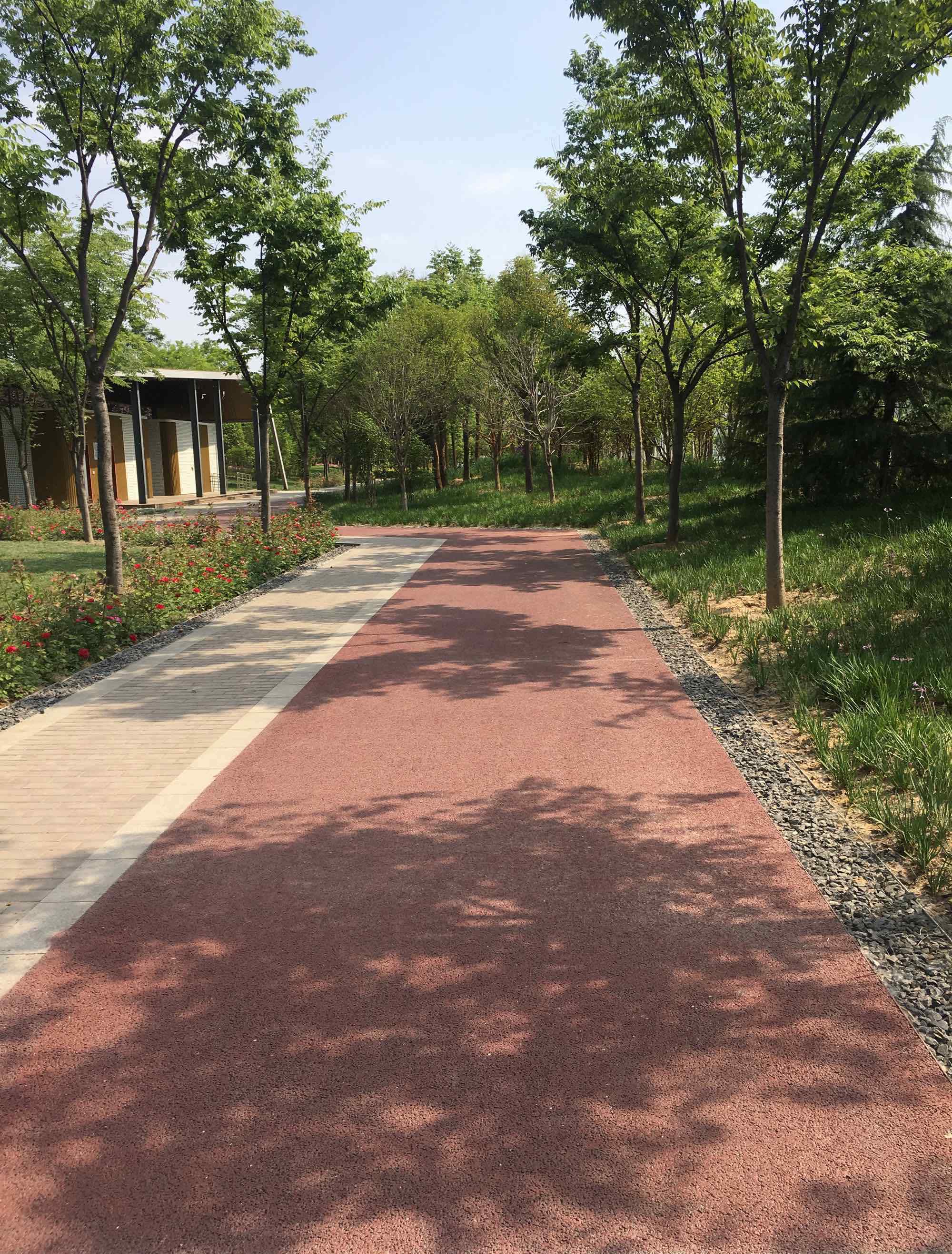 鄭州森林公園 鄭州國家森林公園