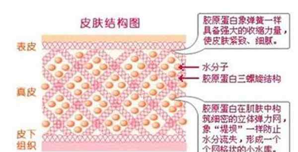 疤痕知識 為什么受傷會在我們皮膚上留疤？ 疤痕底是怎么形成的？