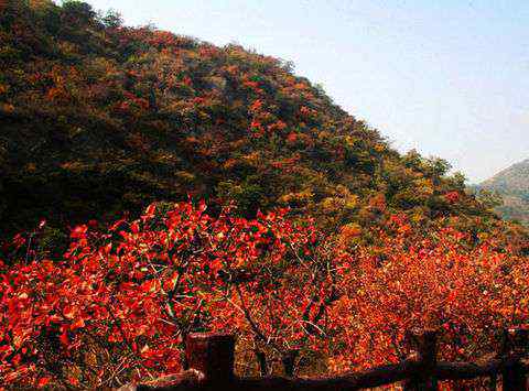 香山在哪里個(gè)城市 以紅葉著名的香山位于哪座城市，北京！