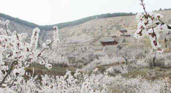 水泊梁山在哪 水泊梁山在哪，山東省梁山縣！