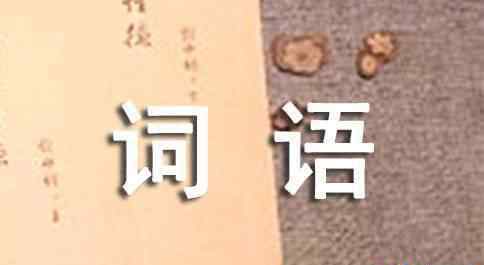 與其造句 詞語(yǔ)與其造句