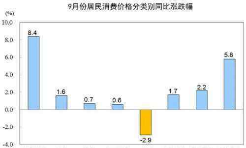 居民消費(fèi)價(jià)格指數(shù) 2019年9月CPI公布 9月居民消費(fèi)價(jià)格主要數(shù)據(jù)