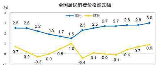 居民消費(fèi)價(jià)格指數(shù) 2019年9月CPI公布 9月居民消費(fèi)價(jià)格主要數(shù)據(jù)