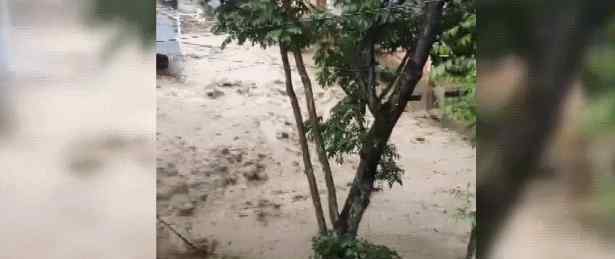 云南貢山 云南貢山遭遇特大暴雨，泥石流穿村而過，幼兒園幸免于難（附動圖）