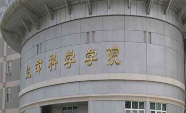 夏令營報名表 武漢大學(xué)夏令營報名系統(tǒng)（報名要求+報名時間）