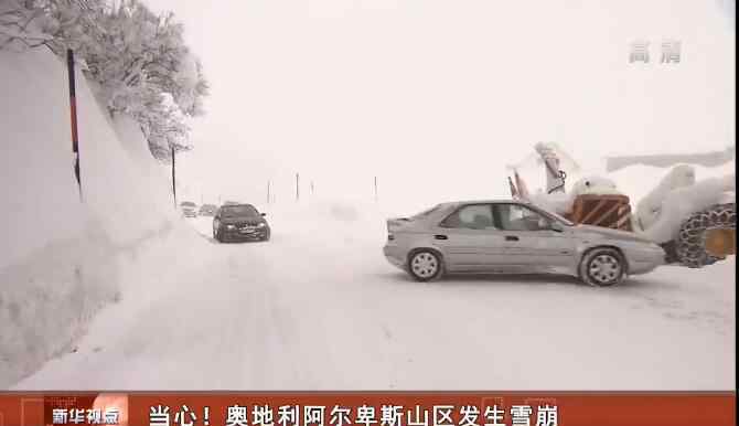 雪崩 終于真相了?海阿爾卑斯山區(qū)雪崩是怎么回事?還原事件詳情始末真相震驚了