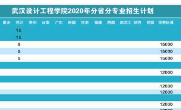 楚天學(xué)院 武漢設(shè)計工程學(xué)院2020年招生簡章