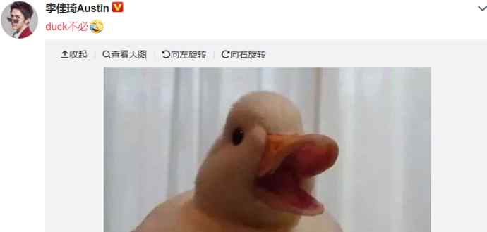 dack duck不必類似的梗 你duck不必什么意思來源出處揭秘