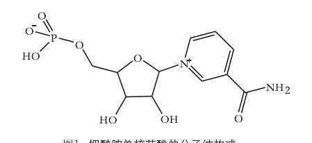 長生不老藥 史上最牛概念“長生不老藥”背后，巴菲特投對(duì)人李嘉誠押錯(cuò)寶，A股原材料供應(yīng)商借此逆襲