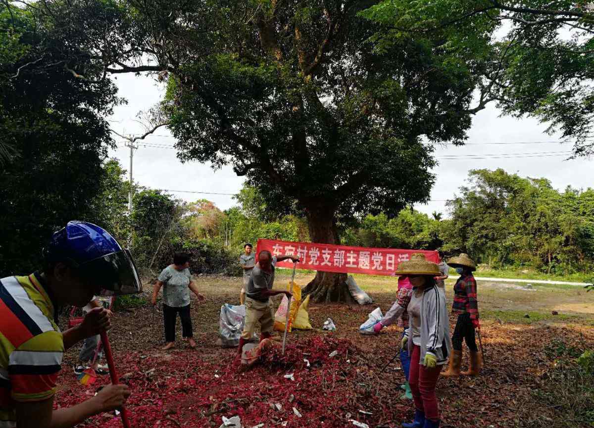 東宛 東宛村黨支部組織開展農(nóng)村人居環(huán)境整治暨主題黨日活動