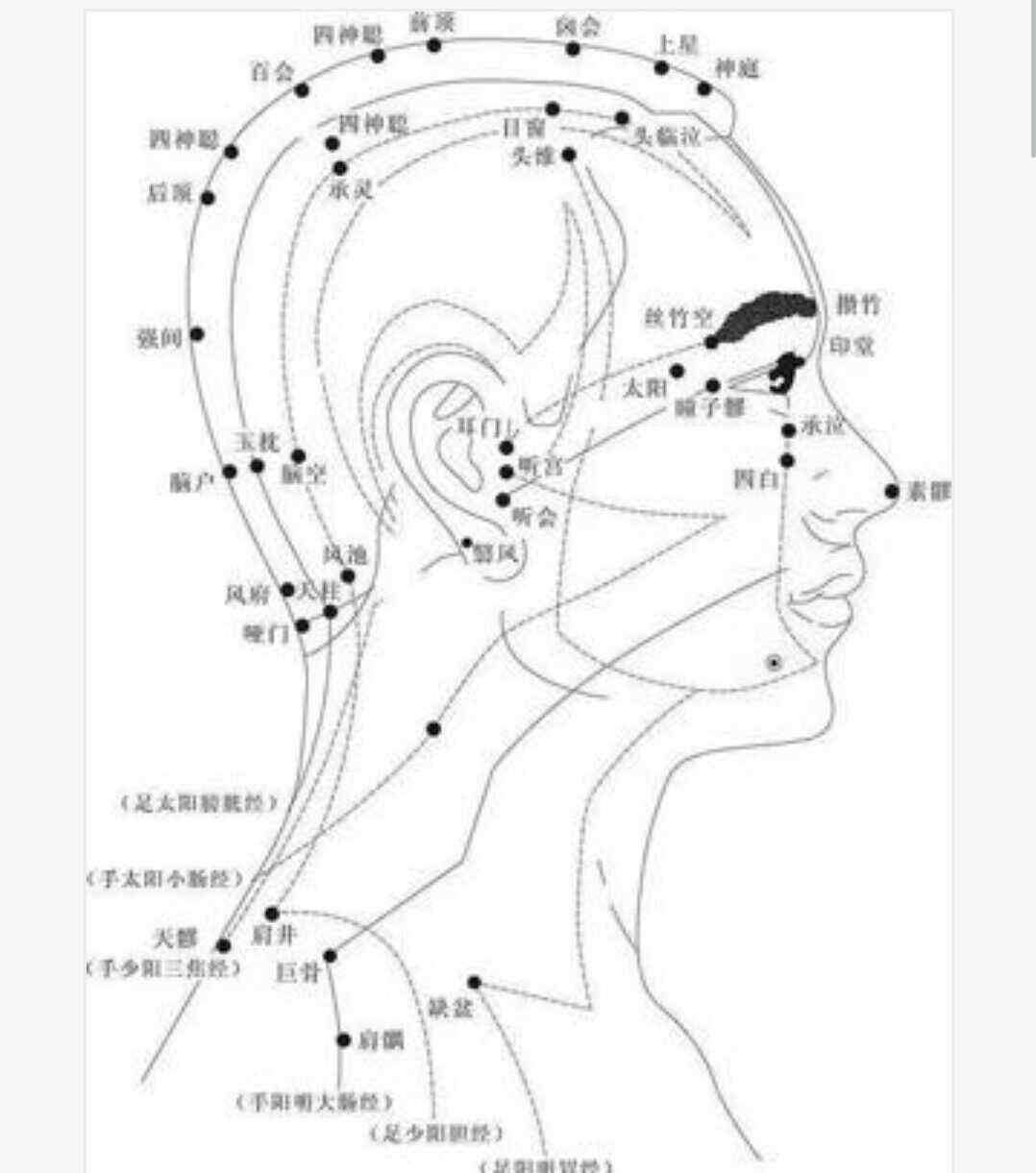 針灸穴位圖 超清晰穴位圖文，醫(yī)院50個中醫(yī)針灸常用穴位功效圖！