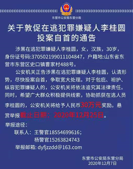 山東東營警方懸賞30萬！抓捕涉黑組織女頭目 還是個(gè)“90后”