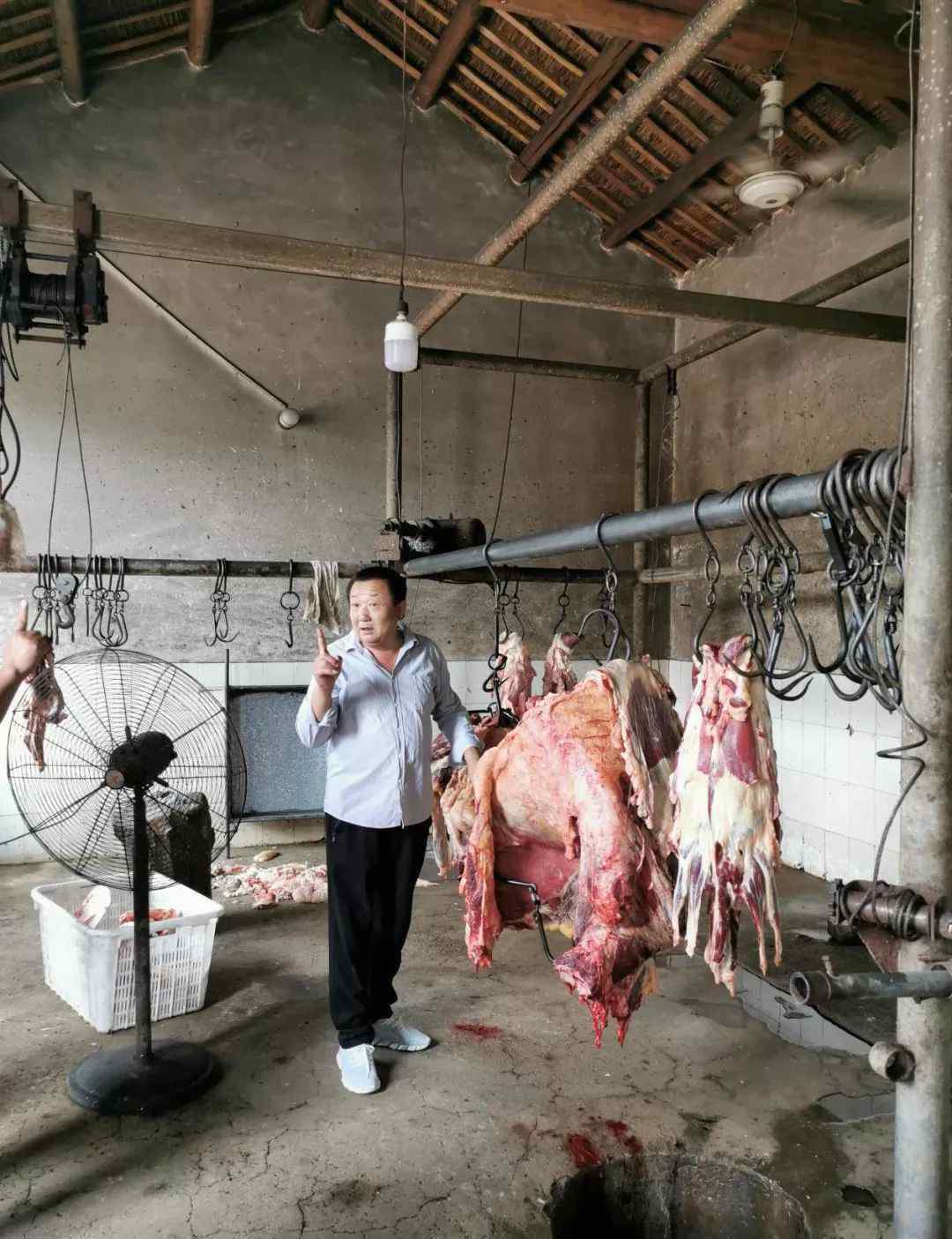 肉質(zhì) 【運(yùn)河故事】素有“肉質(zhì)鮮嫩，瘦而不柴”之名的油坊老字號(hào)曲家牛肉