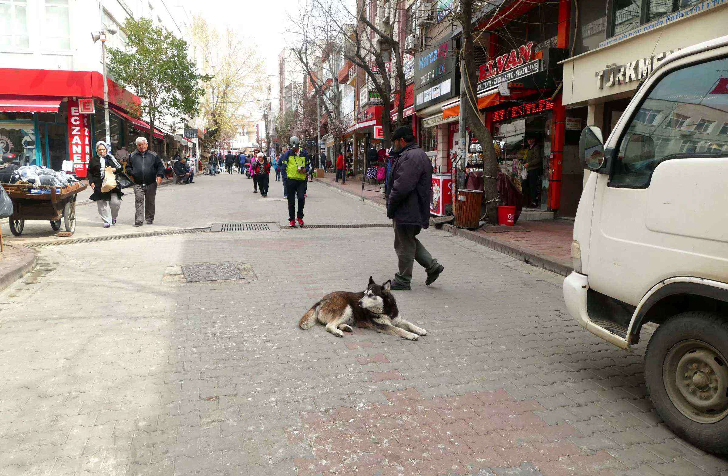 土爾其 土爾其十二天游