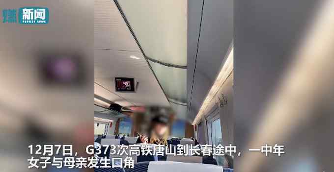 “死了得了” 女子高鐵辱罵母親后棄母下車 還懟勸阻乘客：你們管吧！