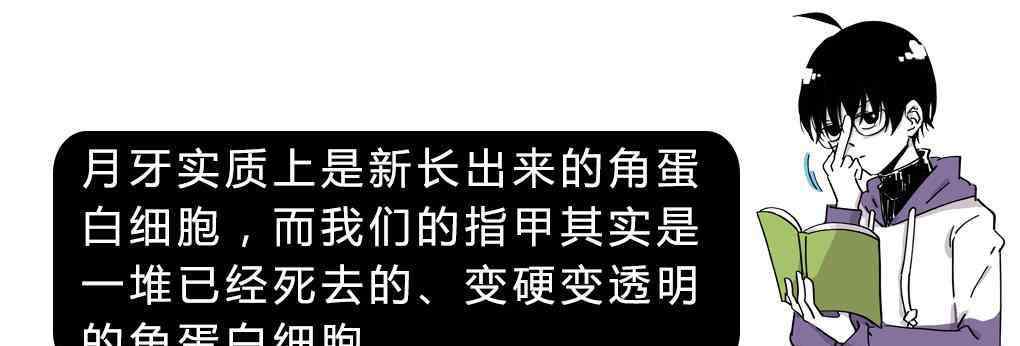 手指甲上的月牙代表什么 指甲上的月牙到底是什么？