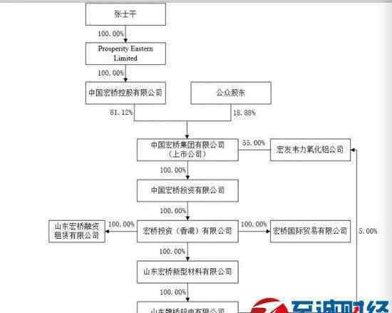 山東首富排行榜2017 山東首富張士平危情50日：兩公司面臨麻煩向政府求援