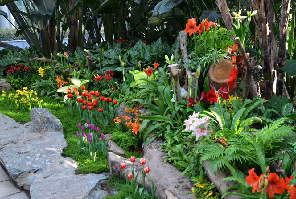 冬天開什么花 冬天開什么花 冬季開花花卉種類的推薦