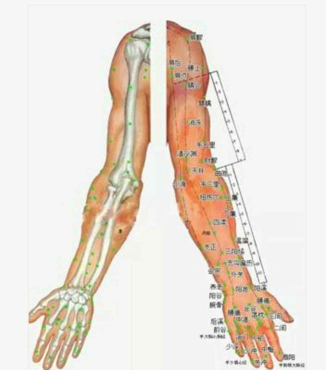 針灸穴位圖 超清晰穴位圖文，醫(yī)院50個(gè)中醫(yī)針灸常用穴位功效圖！