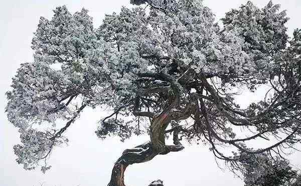 美麗的光霧山 巴中光霧山入選“四川100網(wǎng)紅打卡地”