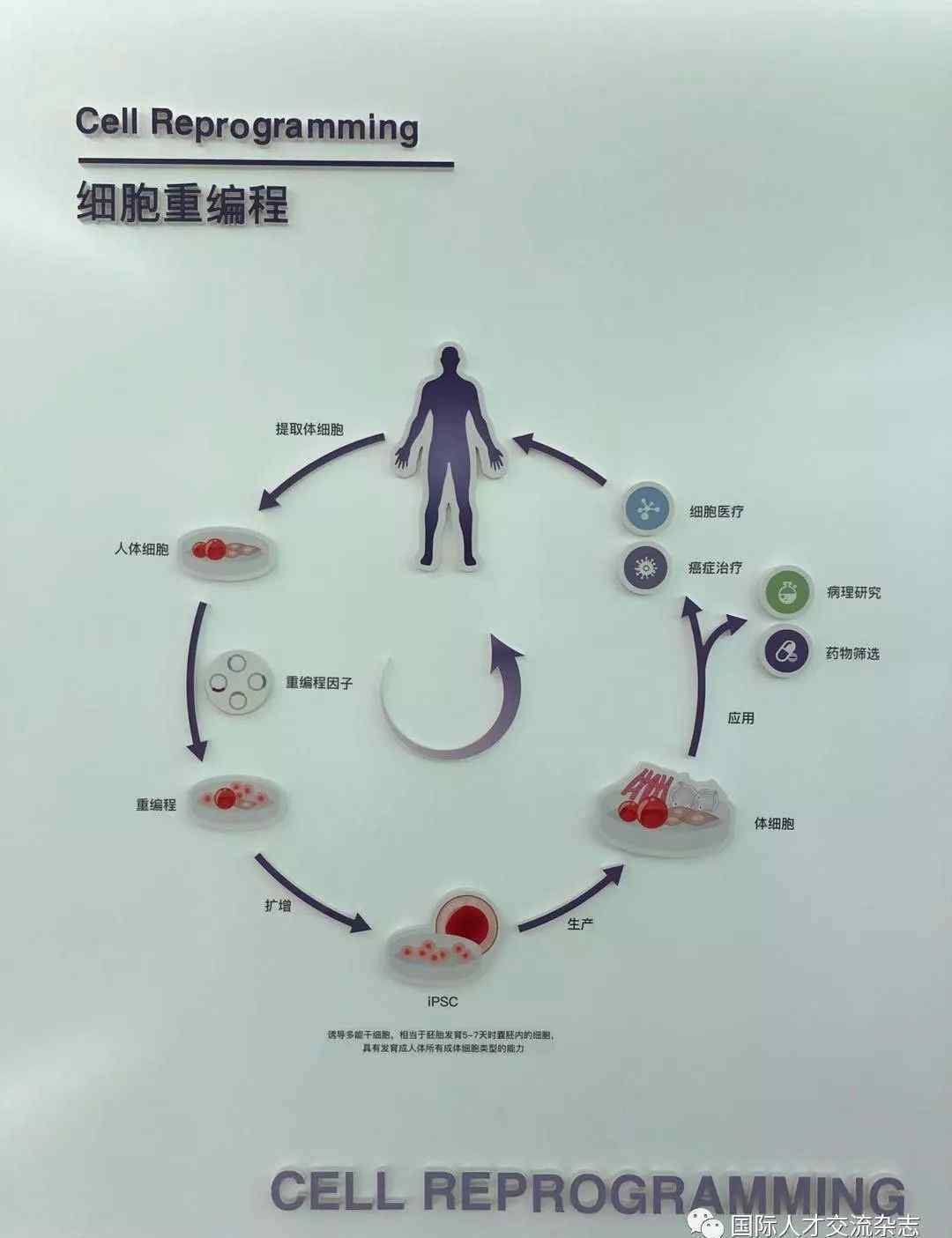 俞君英 走進(jìn)“魅力合肥”丨?俞君英的初心與合肥的使命