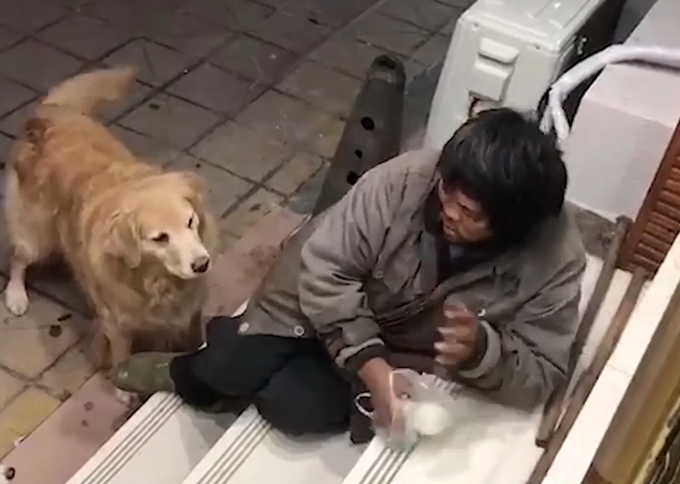 流浪漢每天帶饅頭來(lái)喂狗狗 寵物店老板拍下暖心一幕