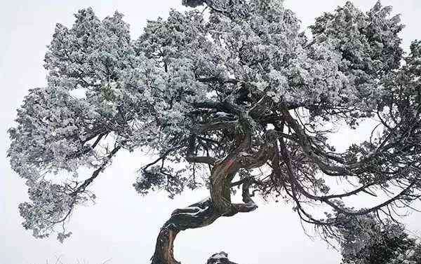 美麗的光霧山 巴中光霧山入選“四川100網(wǎng)紅打卡地”