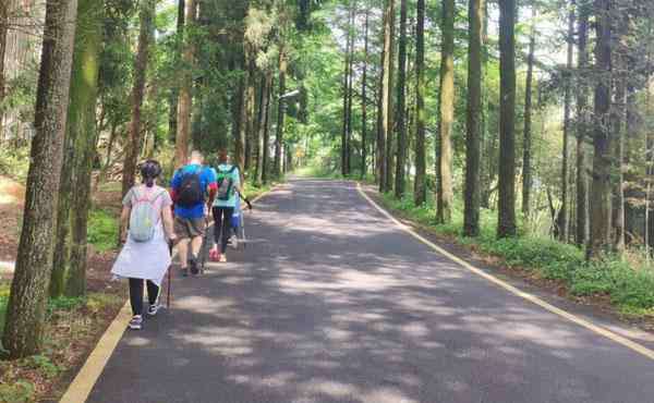 黃南古道 浙江古道秋天徒步推薦