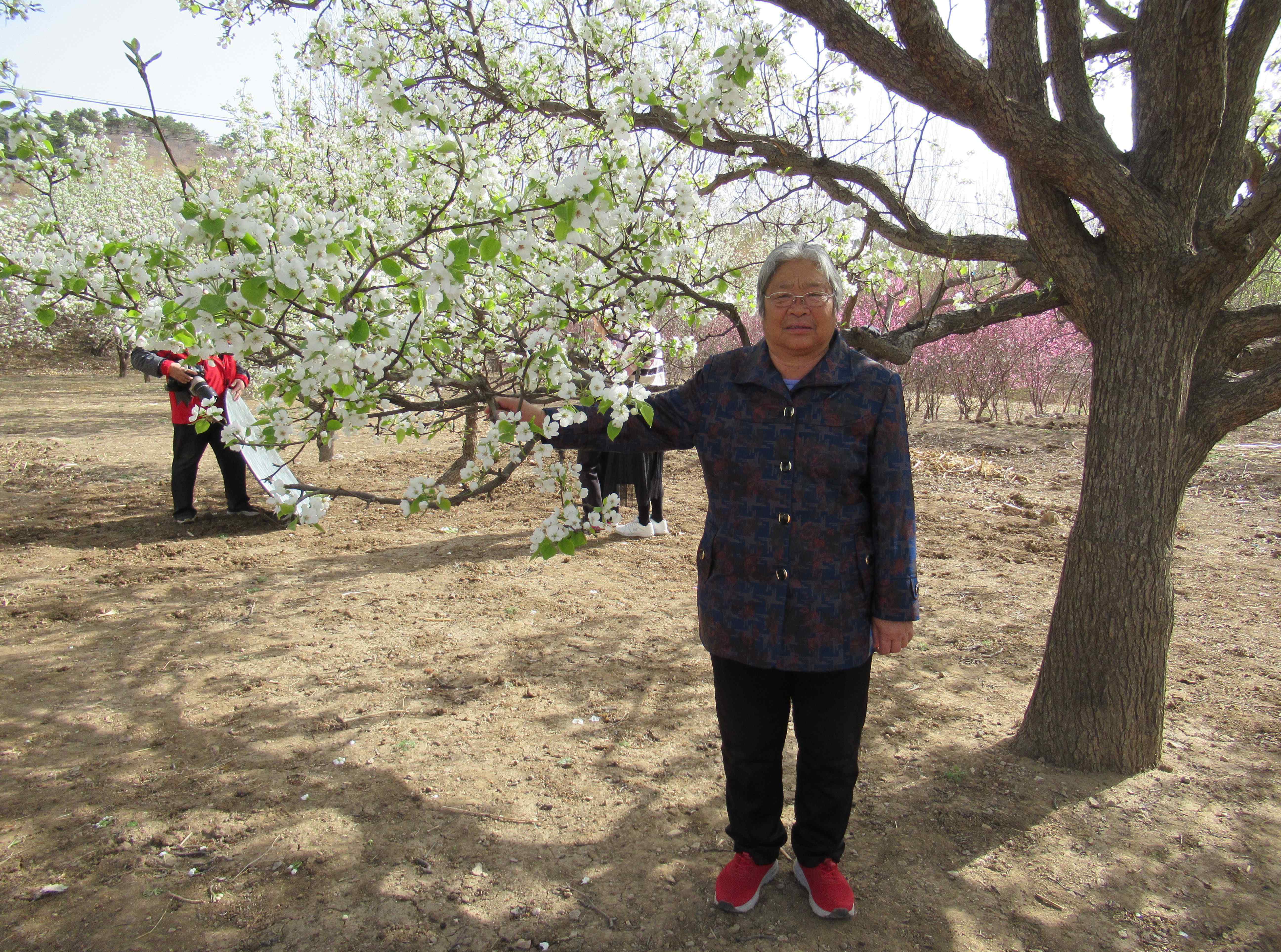 最大的幸福是為人父母 對于父母而言人生最大的幸福,莫過于家人的陪伴