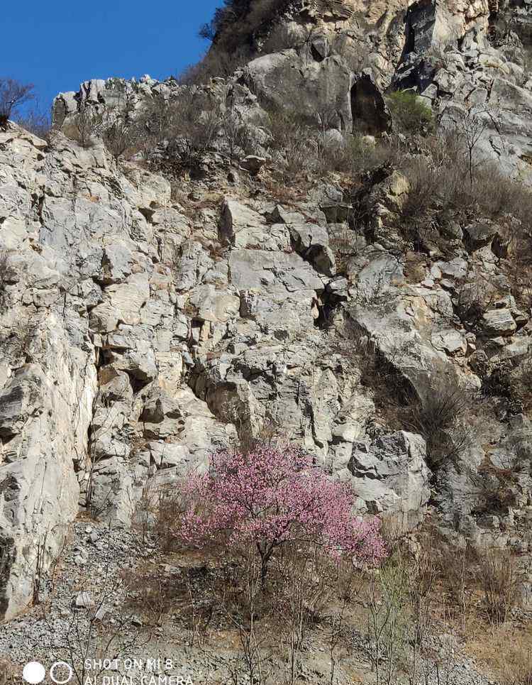 阜平縣吧 阜平神仙山一日游