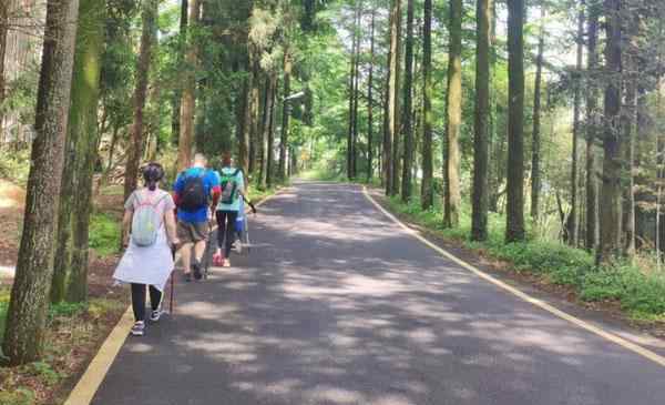 黃南古道 浙江古道秋天徒步推薦