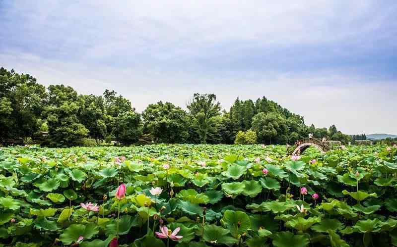 武漢科技館兒童樂(lè)園 2018武漢六一兒童節(jié)去哪玩 親子游景點(diǎn)推薦