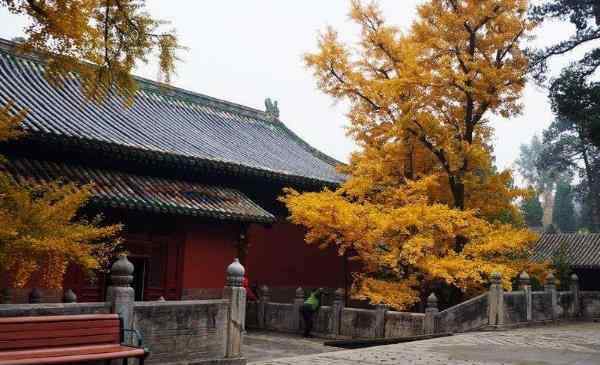 大覺寺 北京大覺寺什么最靈驗