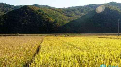 青山溝 青山溝門票多少錢 丹東青山溝門票價(jià)格