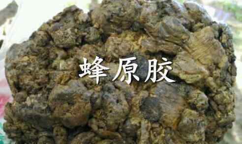 黑蜂膠的功效與作用 “紫色黃金”蜂膠的功效與作用及食用方法有哪些？適合什么人群吃？