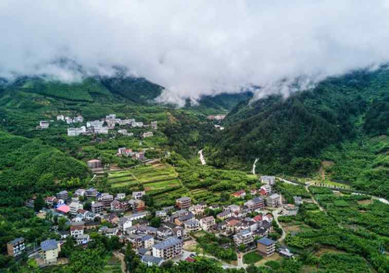 臨安天目山農(nóng)家樂 2019杭州農(nóng)家樂哪家好（價格+地址+推薦美食）