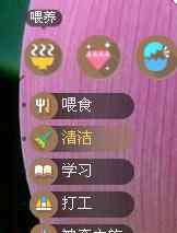 qqpet 領(lǐng)養(yǎng)QQ寵物的步驟