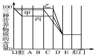 淀粉蛋白質(zhì)脂肪的消化過程 圖中三條曲線分別表示食物中的蛋白質(zhì)、淀粉、脂肪三種成分經(jīng)過消化道時(shí)被消化的情況．下端字母分別表示組成消化道的各個(gè)器官，試