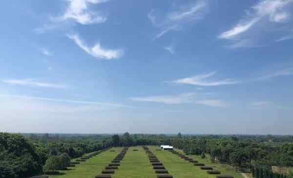 熊家冢 楚王車馬陣景區(qū)好玩嗎 熊家冢國家考古遺址公園現(xiàn)在可以去嗎